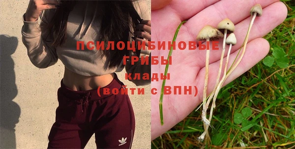 каннабис Богородицк