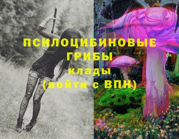 каннабис Богородицк