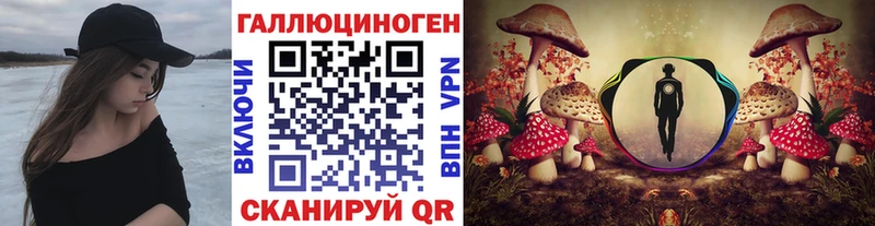 Псилоцибиновые грибы Psilocybine cubensis  кракен сайт  Туран 